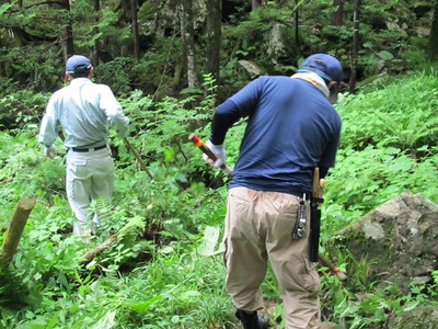 登山道の整備作業をしました