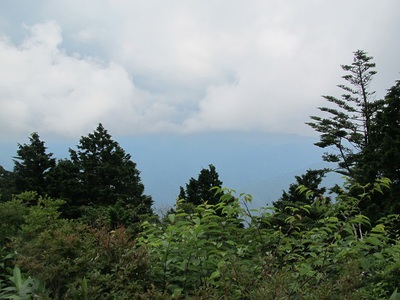 登山道の整備作業をしました