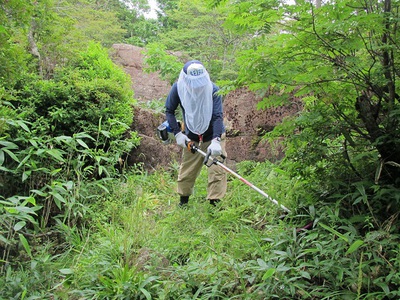 登山道の整備作業をしました