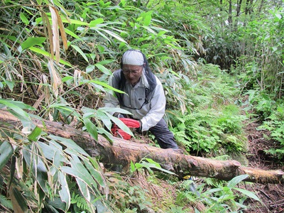 登山道の整備作業をしました