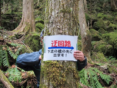頂上まで整備完了