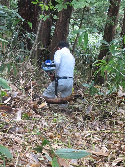 登山道の倒木を処理しました