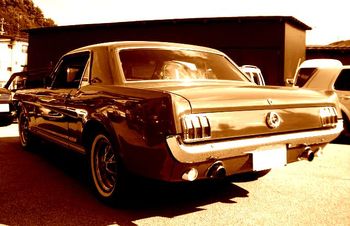 ’６５　ＭＵＳＴＡＮＧ！(＠_＠)
