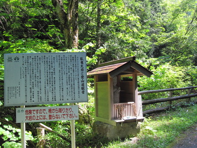 ６月５日③
