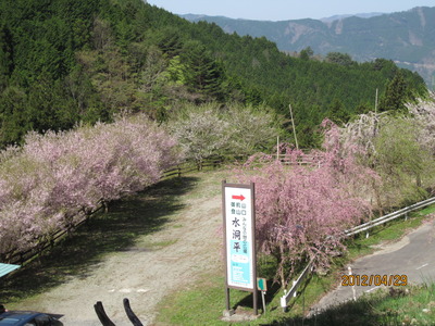 頂上まで行ったよ！