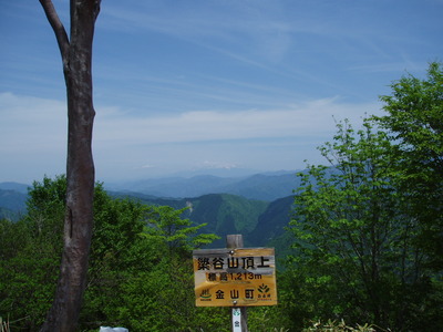 簗谷山から御前山を