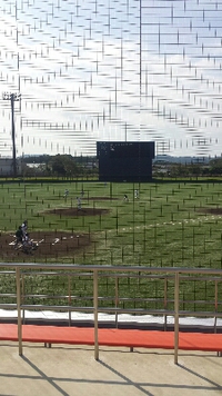 県民ｽﾎﾟｰﾂ大会