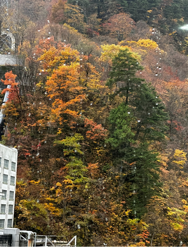 東海北信越大会の途中トロッコ電車に乗りました^_^