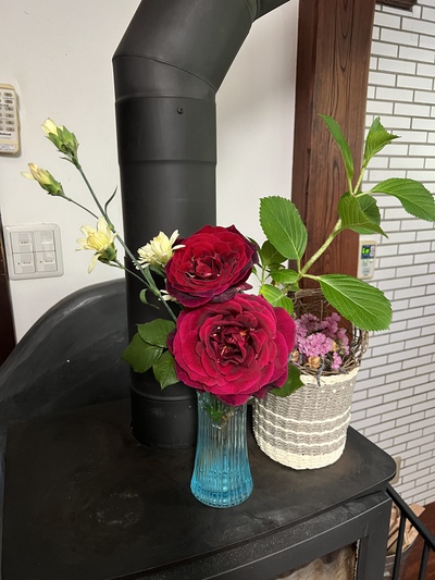 薔薇　バラ　ばら　が咲いた