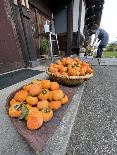 収穫の秋とケロリンと古民家の二階