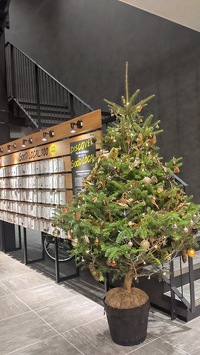 クリスマス支度はじめました☆ 2022/12/15 12:48:09
