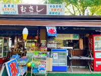 城山公園から望む景色と美味しい料理 2021/11/22 13:41:02