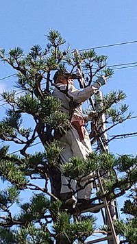 10/24（土）　花木セミナー 2020/10/28 13:48:52
