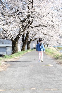 桜とわたしの宝物 2021/04/10 21:24:54