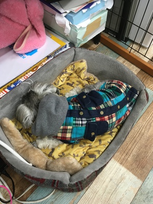 とめべったり、楽しく散歩