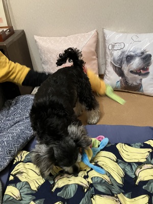 とめべったり、いい休日