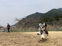 とめべったり、あと２０日 2025/03/24 21:24:00