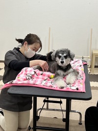 とめべったり、写真撮影会の補足とその他のイベント紹介 2025/03/04 21:00:52