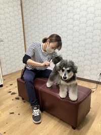 とめべったり、イベント初日 2025/03/20 21:00:00