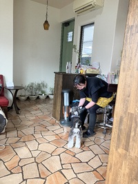 とめべったり、噛み付く大型犬の話の補足と、美容院とか手術代とかの話 2025/02/03 21:00:00