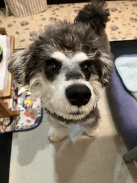 とめべったり、お悩み相談会 2025/05/10 21:00:00