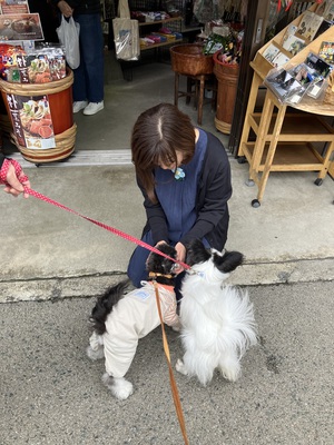 とめべったり、謎に縁が続く人と散歩