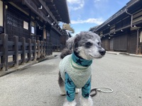 とめべったり、久しぶりのデート 2025/01/20 21:00:00