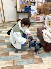 とめべったり、久しぶりのママさんトリマー 2025/02/10 21:00:00