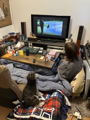 とめべったり、犬の日ポナ活