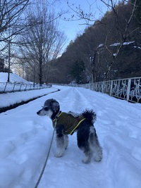 とめべったり、初・絵付け体験 2025/01/24 20:57:11