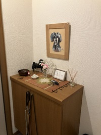 とめべったり、また少し死に近づきました 2025/04/02 21:01:04