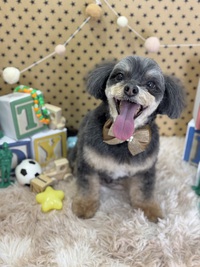 トリミング室のわんこ‪‪❤︎‬ 2025/03/18 09:00:00