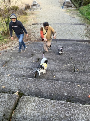 とめべったり、うっすらの集団
