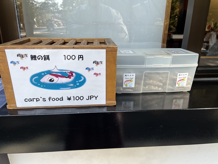 鯉の餌人気です