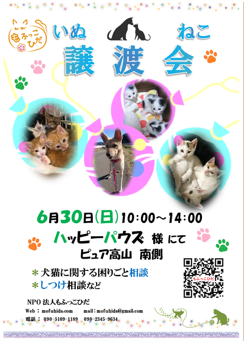 6/30（日）いぬねこ譲渡会 ハッピーパウズ様にて