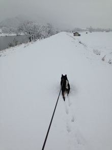 ももは雪が大好き！！