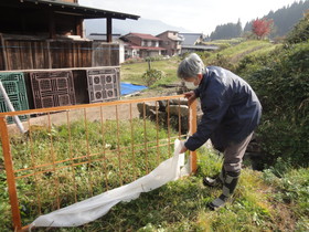 障子張替え