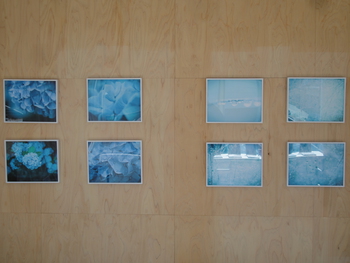 itoi naomi  ミニフォトブック展　13日(日)まで