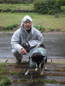 雨の日の散歩