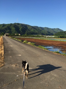 今朝のももは、いい天気！！