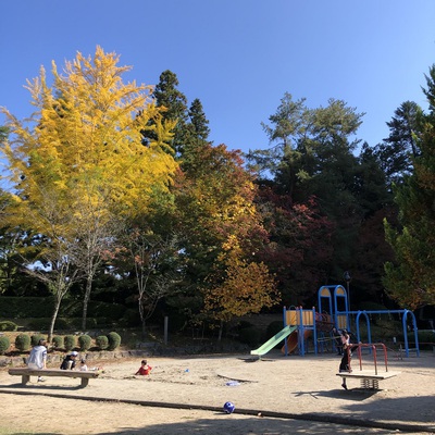 城山公園の紅葉も見頃です。