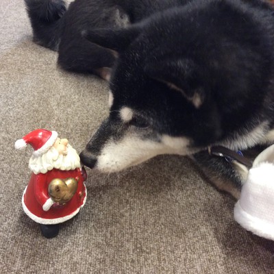 クリスマスの恒例？のももサンタ ♫