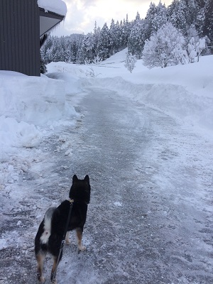 雪国 飛騨