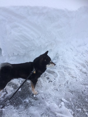 雪国 飛騨