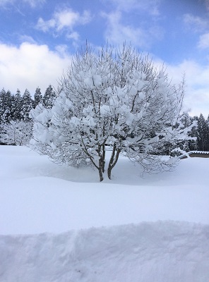 雪国 飛騨