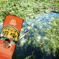 モネの池のあまりの凄さに戸惑いを隠せない