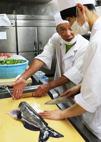 若手イケメン料理人。只今修行中です。