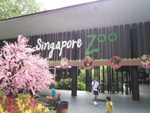 シンガポール動物園