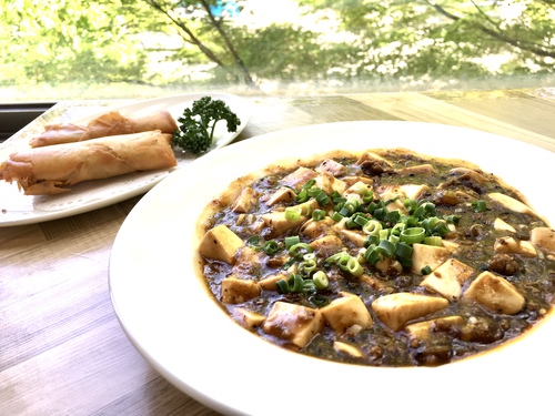 麻婆豆腐と春巻き