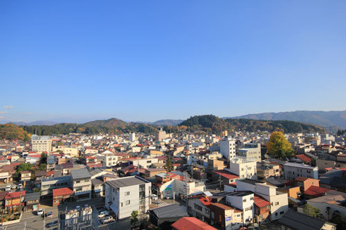 森の指揮者と紅葉情報